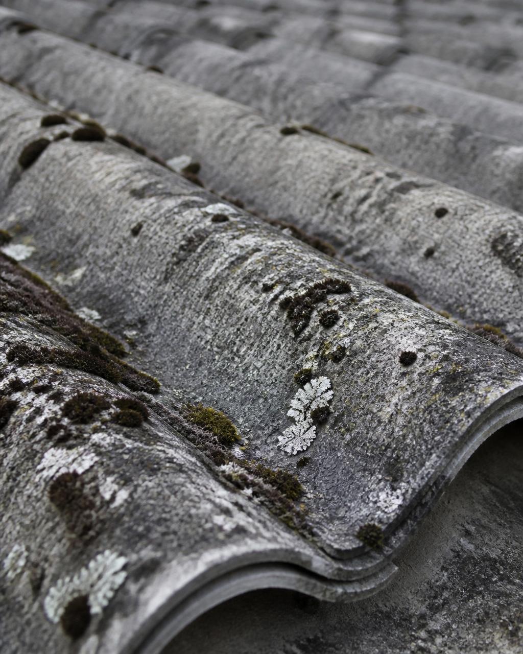 Makrofotografia starego pokrycia z eternitu pokrytego mchem i porostami